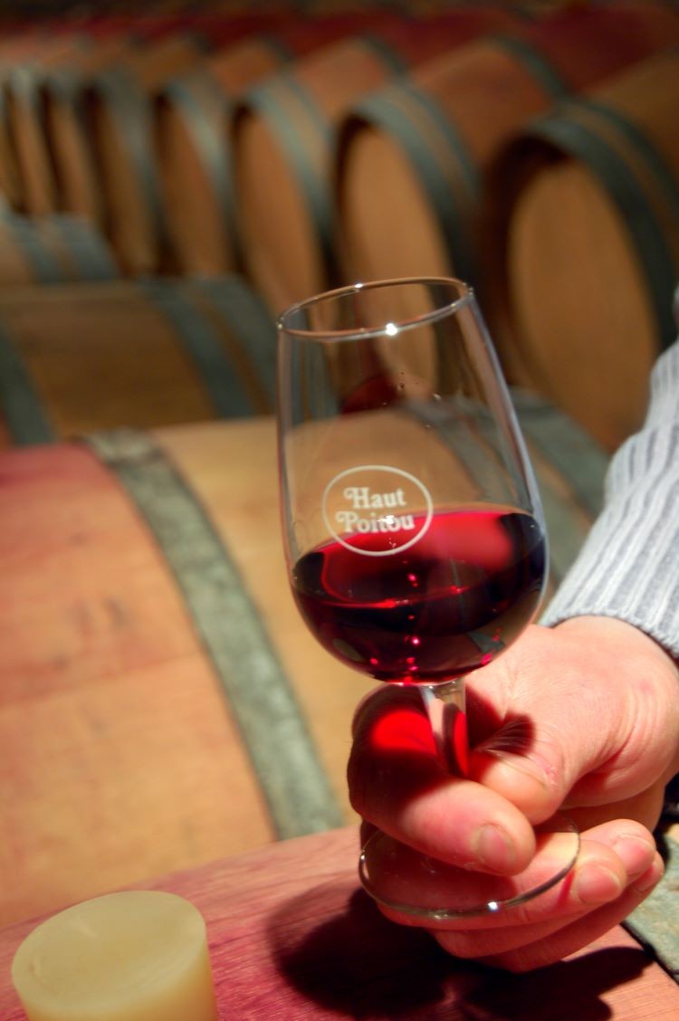 Visite guidée des vignes et chais, dégustation commentée de 5 vins- durée 45 min - Vignerons Indépendants