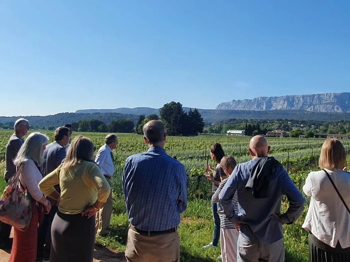 Visite guidée du domaine suivie d’une dégustation (basse saison) - Vignerons Indépendants