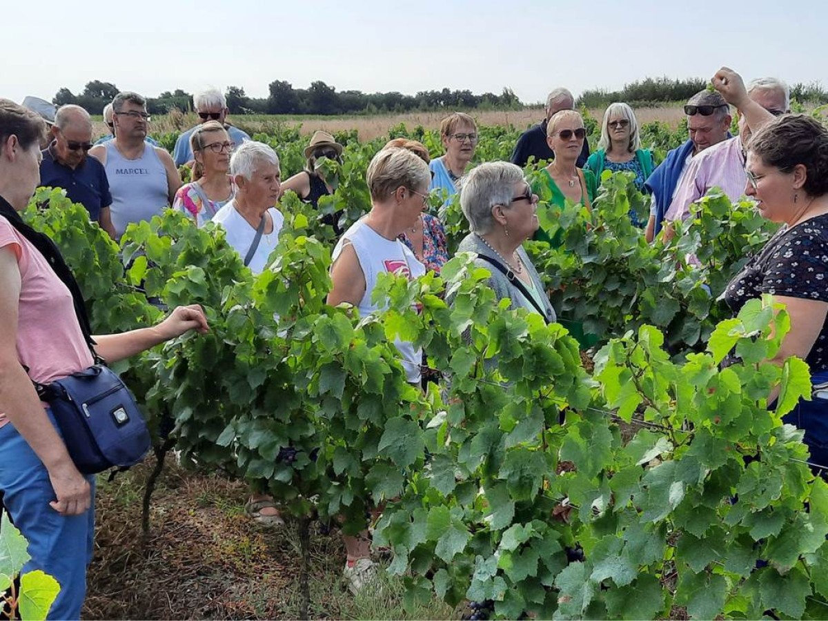 Visite Guidée "Spéciale Portes Ouvertes" - Vignerons Indépendants