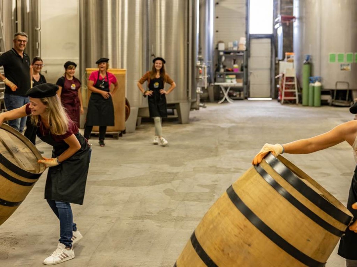 Visite Ludique "Le Bachelor Testing" - Vignerons Indépendants