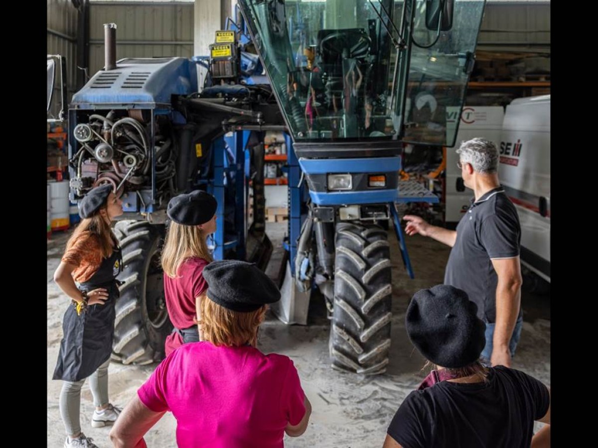 Visite Ludique "Le Bachelor Testing" - Vignerons Indépendants
