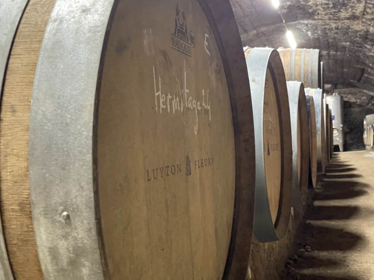 Visite prestige - Vignerons Indépendants