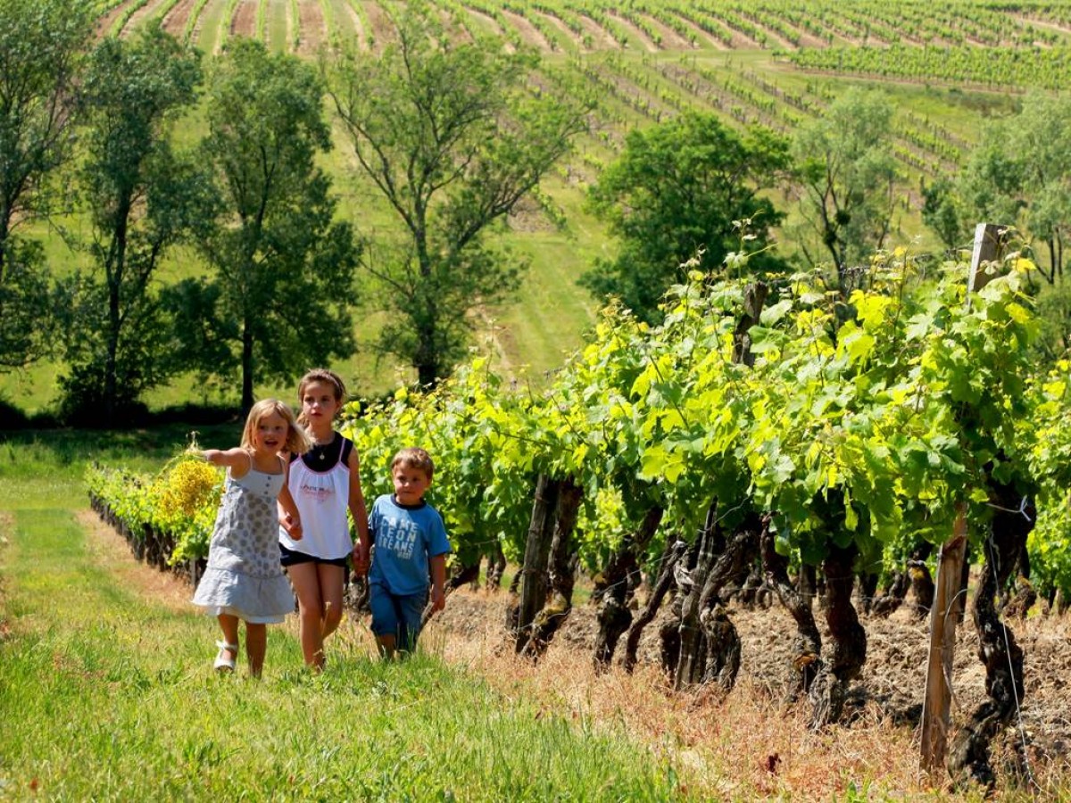 Visite Prestige - Vignerons Indépendants