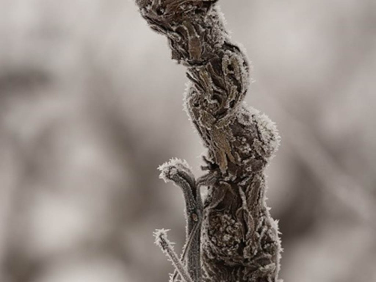 Voyage au coeur des vignes : entre contes, dégustation et agroécologie - Vignerons Indépendants
