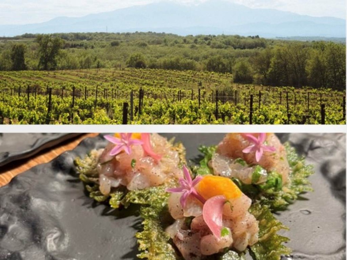 Voyage des Sens - Vignerons Indépendants