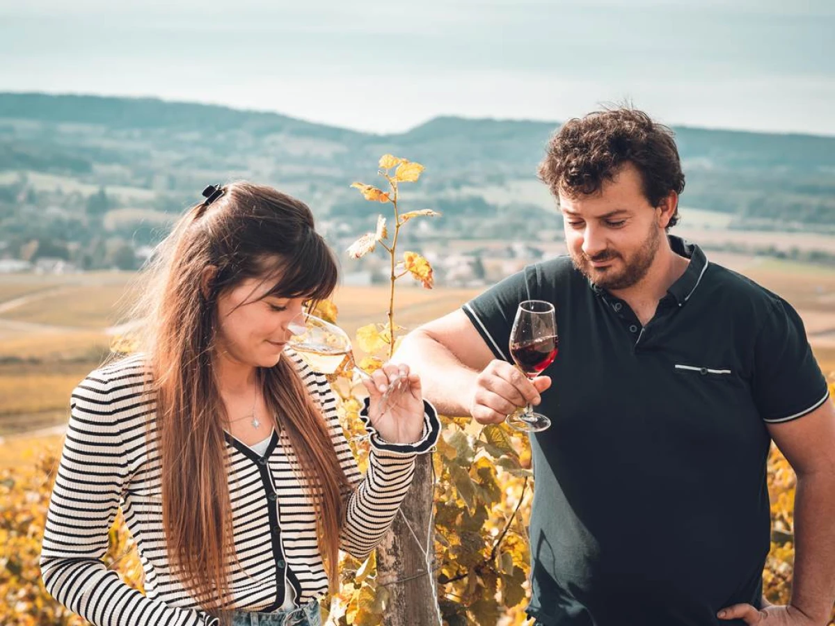 Voyage Gourmand Vins et Chocolats - Vignerons Indépendants