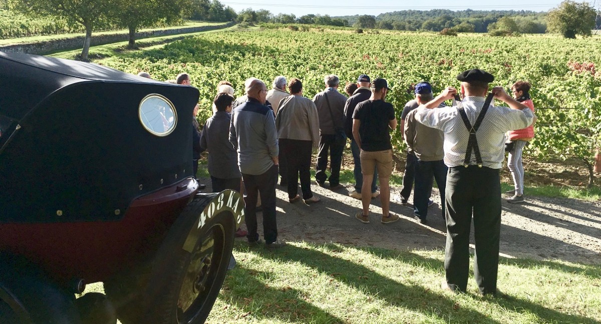 Balade Pédestre Autour du Clos - Vignerons Indépendants